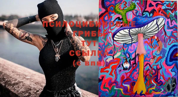 синтетический гашиш Гусиноозёрск