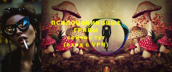 каннабис Гусев