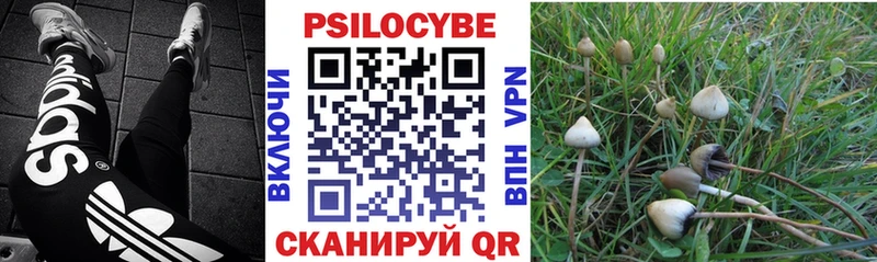 как найти наркотики  Фатеж  Галлюциногенные грибы мицелий 